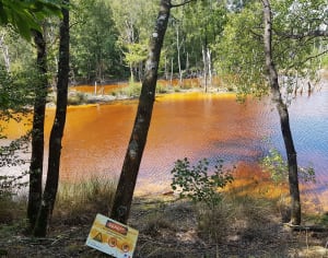 Balade d’Abbaretz, terril et Plan d'eau de la Mine - Abbaretz - 24