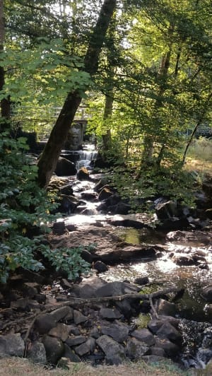 De watervallen in Mortainais - Mortain - 7