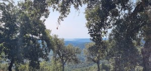 Les Esterets-du-Lac, zonnige kant - Les Esterets du lac - 10