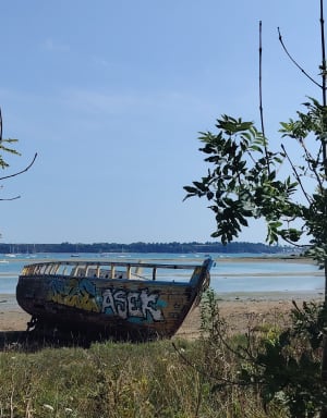 Langrolay et les bords de la Rance - Langrolay sur Rance - 3