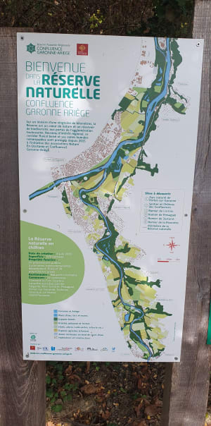 De Goyrans à l'Ariège en zone boisée - Aureville - 6