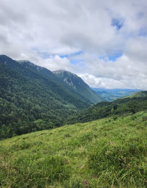 Vallée d’Ossau et ses mystérieux cercles de pierre - Bilhères - 4