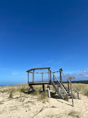 Réserve de la Maillouèyre : dunes, forêts et vues sur la mer - Arnaud - 21