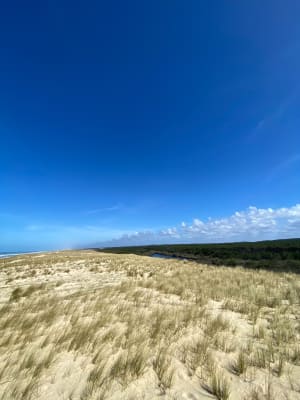 Réserve de la Maillouèyre : dunes, forêts et vues sur la mer - Arnaud - 23