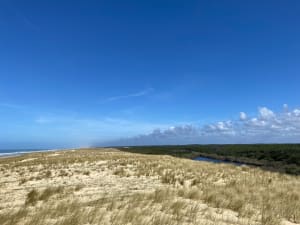 Réserve de la Maillouèyre : dunes, forêts et vues sur la mer - Arnaud - 24