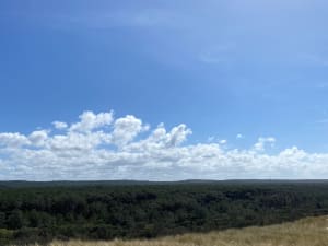 Réserve de la Maillouèyre : dunes, forêts et vues sur la mer - Arnaud - 25