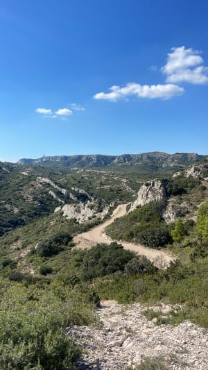 Le Jas du Pezou - Saint Rémy de Provence - 6