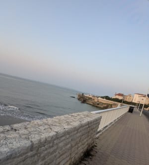 Douaneroute vanuit Royan - Royan - 4