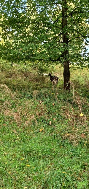 Montreuil : parc des Beaumonts et Butte aux Papillons - Montreuil - 2