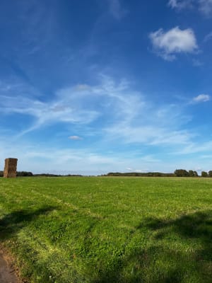 Balade entre vignes et bois - Bussac-sur-Charente - 20
