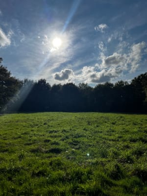 Balade entre vignes et bois - Bussac-sur-Charente - 21