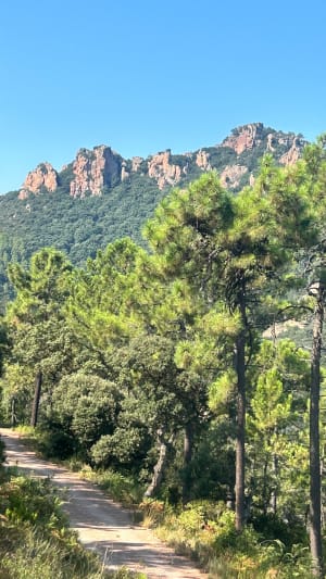 Mandelieu-la-Napoule depuis les hauteurs et riche passé - Mandelieu-la-Napoule - 48