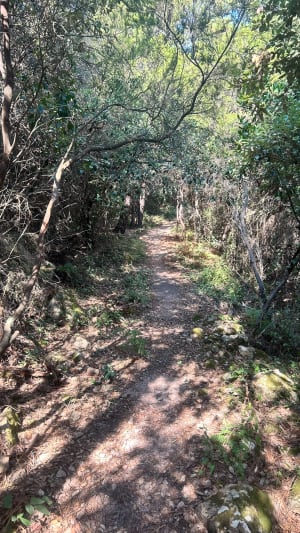 Mandelieu-la-Napoule depuis les hauteurs et riche passé - Mandelieu-la-Napoule - 52
