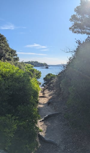 Loop langs het strand van Badine, Cap de l'Esterel en Pointe de la Vignette - Hyères - 110