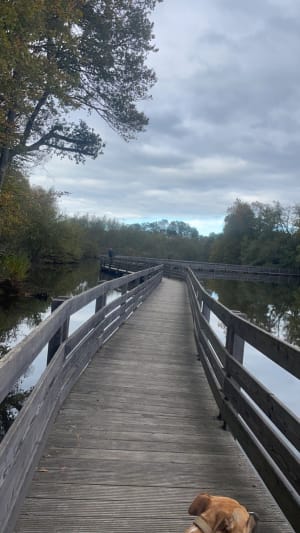 Randonnée de l'Etang Neuf - Montel-de-Gelat - 9