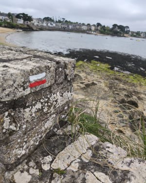 Tour de la pointe d’Arzon - Arzon - 44