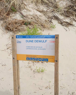 Sortie dans les dunes et plage de Zuydcoote à Leffrinckoucke - Christophe - 15