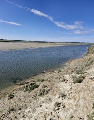 Entre molières et sable en baie d'Authie - Conchil-le-Temple - 14