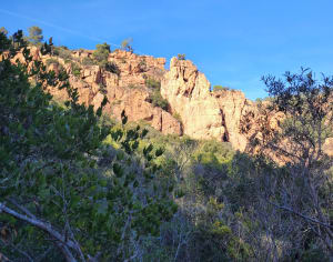 Balade dans la forêt de la lieutenante - Roquebrune-sur-Argens - 5
