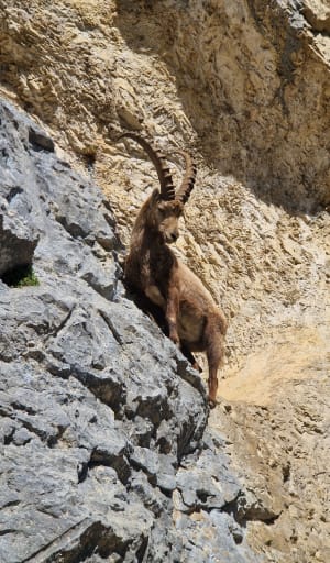 Belvédère du Pas du Roc - Fillière - 26