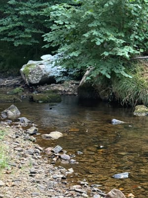 Moulin de Sansonneche et bords de Creuse - floriane - 2