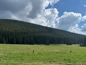 Belvédère du Pas du Roc - Fillière - 30