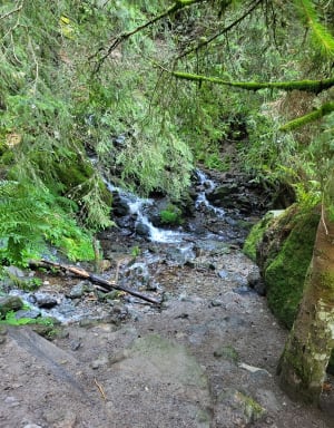 Grande cascade Mont Dore et vue sur le Puy de Sancy - Sophie  - 42