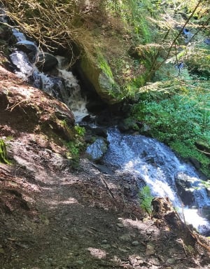 Grande cascade Mont Dore et vue sur le Puy de Sancy - Sophie  - 43
