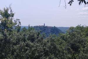Puycelsi en zijn legendarische Grésigne-bos - Puycelsi - 27