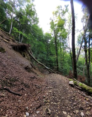 Balade sur le fil des Rochers du Capucin - Longeville - 3