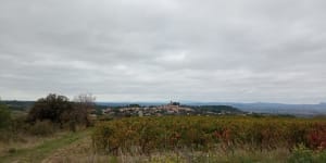 Tour de vignes autour de Saint-Pargoire - Saint-Pargoire - 2