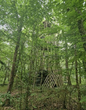 Bernac, randonnée autour du château de Théobon - Bernac - 3