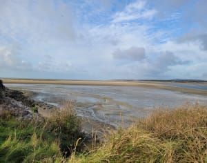 Flânerie au Touquet et rencontres iodées - Le Touquet-Paris-Plage - 14