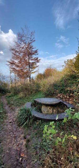 Lus van de kapel Saint-Victor en Bois Noir - Mouxy - 14