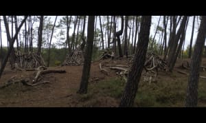 Réserve de la Maillouèyre : dunes, forêts et vues sur la mer - NATACHA - 18