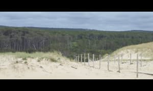 Réserve de la Maillouèyre : dunes, forêts et vues sur la mer - NATACHA - 19