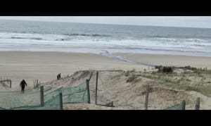 Réserve de la Maillouèyre : dunes, forêts et vues sur la mer - NATACHA - 20