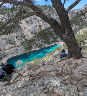 De baaien van Port Miou, Port-Pin en En-Vau - Cassis - 34