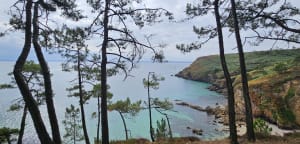 Boucle du cap de la Chèvre - Crozon - 7