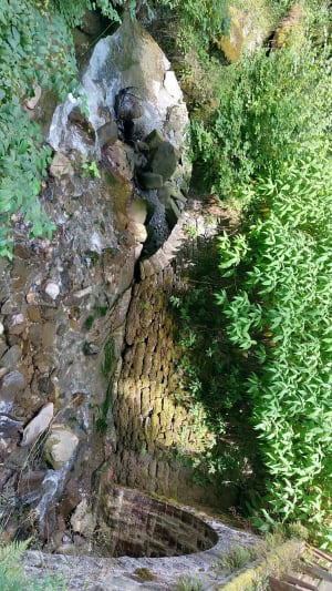 Bois des Traversiers variante - Saint-Jean-de-Sixt - 9