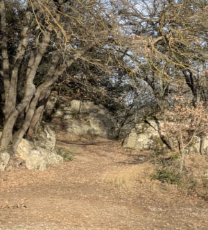 Randonnée dans les bois de Peyrolles-en-Provence - Candie - 5