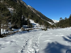 La Fruitière - Col d'Arraillé Wandeling - Cauterets - 4