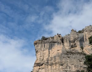 Corniches van de Causse Méjean en reis naar het hart van de kliffen - Le Rozier - 26