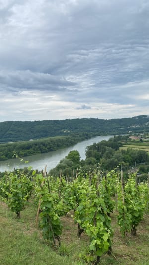 St Clair-Les-Roches (îles) - Virginie - 4