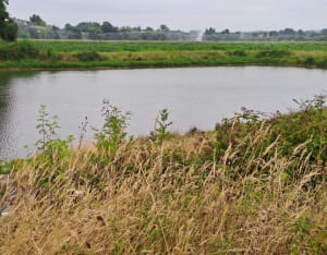 Sortie à Cazères par Barcelonne-du-Gers - Cazères-sur-l'Adour - 4