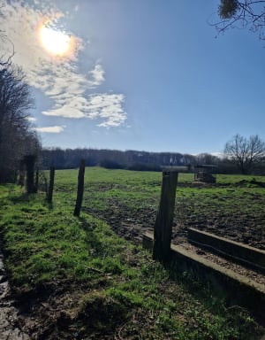 Rando zen autour de Rochy-Condé - Therdonne - 15