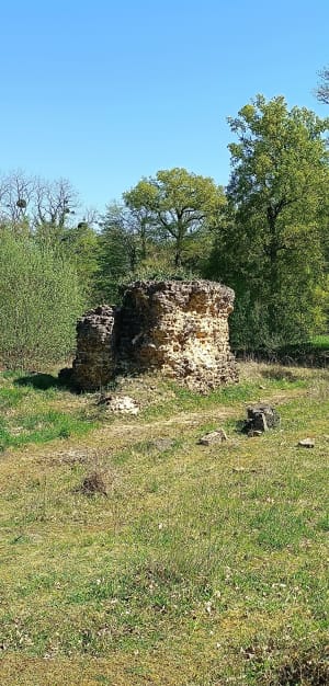 Lac de la Gèmerie, de la nature vers le Moulin de Chaoué - Arnage - 8