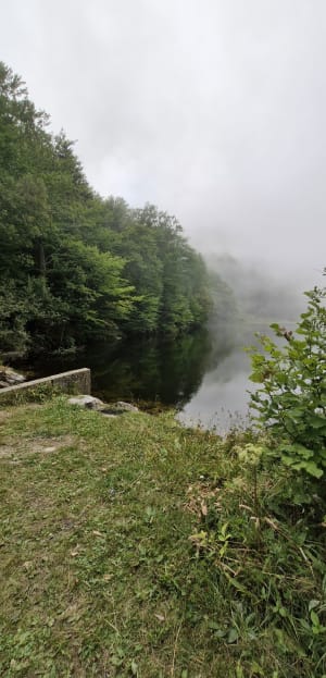Balade à l'étang aux truites et en forêt - Thierry - 3