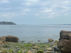 Balade cool de la pointe du château en passant par la ville. - Perros-Guirec - 20