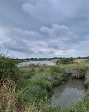 Parcs à huîtres d'Oléron et visite de la citadelle - Le Château-d'Oléron - 4